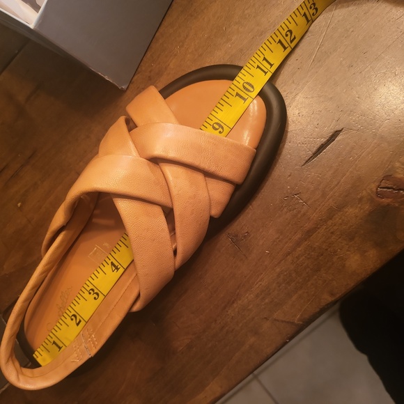 Seychelles Punchline - Picture 6 of 6